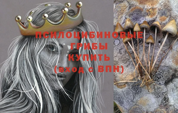 прущие крисы Сосновый Бор
