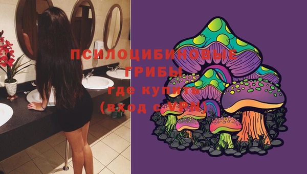 прущие крисы Сосновый Бор