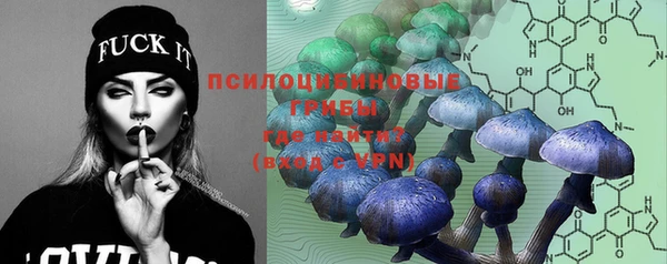 прущие крисы Сосновый Бор